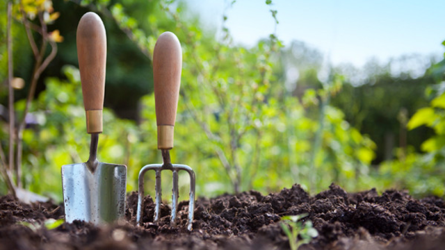 How A Green Thumb Can Help You Relax
