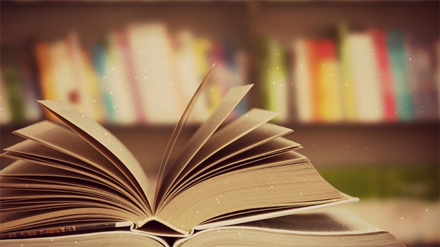 Reading Comprehension