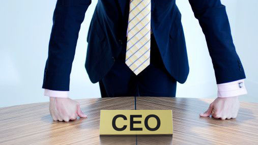 Lawyer-CEOs