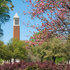 Alabama College Campus Tower