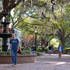 University of Charleston campus